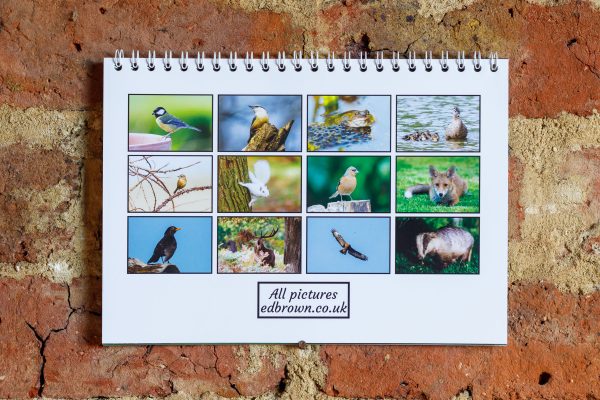2022 British wildlife calendar
