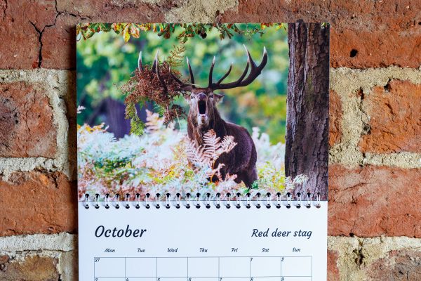 2022 British wildlife calendar