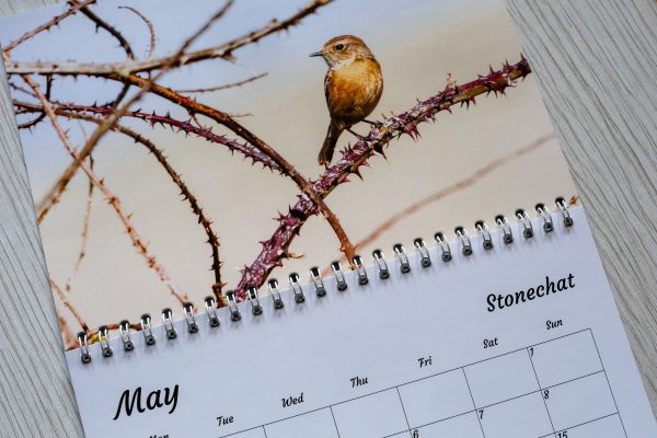 British wildlife calendar 2022