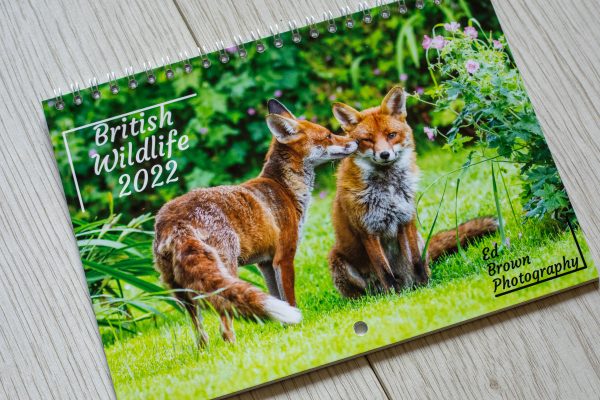 British wildlife calendar 2022. Wall hanging calendars to buy in the UK