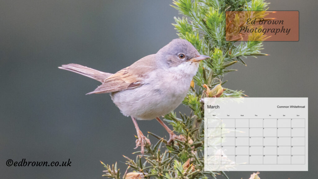 March 2024 calendar desktop wallpaper 1 March 2024 calendar desktop wallpaper