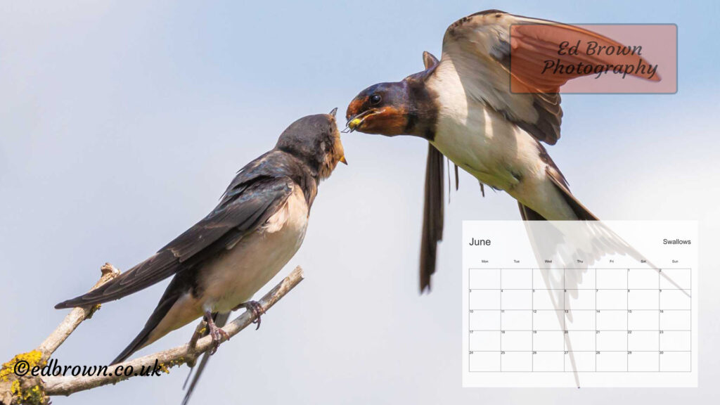 June 2024 calendar desktop wallpaper
